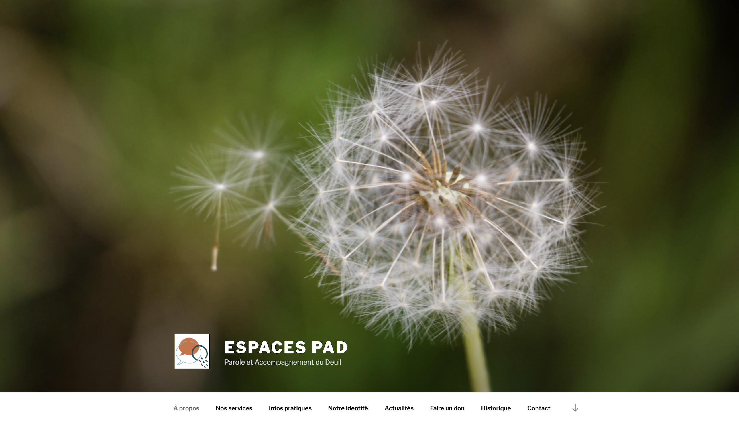 Capture d’écran 2021-03-16 à 09.14.08